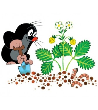 &Scaron;ablona na zeď s dětsk&yacute;m motivem 257